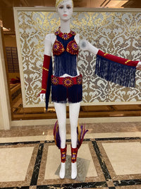 Regal Feathered Backpiece and Rhinestone Costume Set