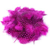 Natural Spotted Guinea Fowl Feathers 100PC