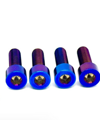 Titanium ETM RTR axel clamp bolts