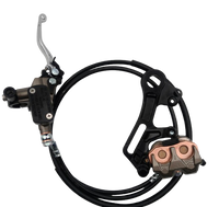 PRE BLEAD ultrabee V2 brakes with titanium clamp bolts