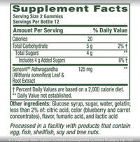 vitafusion Ashwagandha Gummies – Blueberry Flavor – 24 Gummies