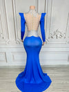 Rhinestone Floral Embroidered Mermaid Gala Gown & Trailing Evening Dress