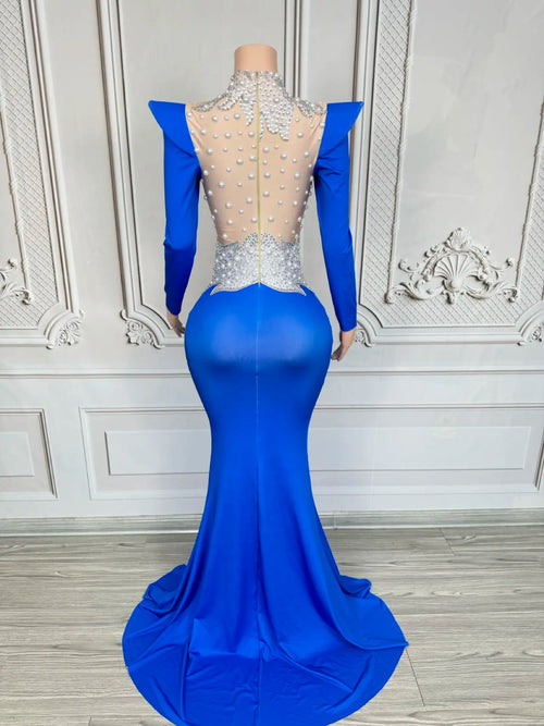 Rhinestone Floral Embroidered Mermaid Gala Gown & Trailing Evening Dress