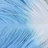 10PC Two-Tone Decorative Feather Plumes