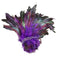 deep purple