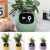 Tuya Ivy Smart Planter,Endless Fun Over 49 Rich Expressions,7 smart sensors,AI Chips Make Raising Plants Easy and Fun