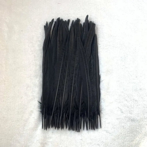 Natural Female Pheasant Tail Feathers (100PCS)