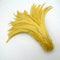 Gold Yellow / 35-40CM