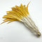 Gold Yellow White / 35-40CM