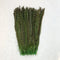 Apple Green / 25-30CM