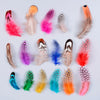 Natural Spotted Guinea Fowl Feathers 100PC