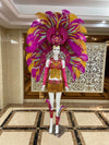 Regal Feathered Backpiece and Rhinestone Costume Set