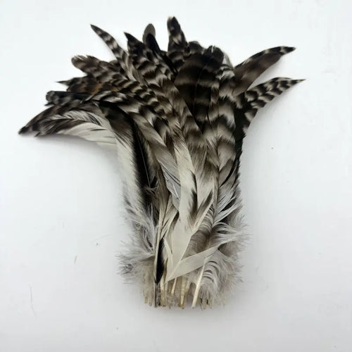 100PCS Natural Barred Rooster Tail Feathers (15-45CM)