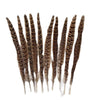 Natural Female Pheasant Tail Feathers (100PCS)