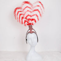 Striped Feather Headdress