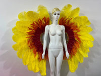 Two-Tone Feather Wing Backpiece Stage Costume Accessory