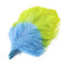 Lime / Blue / 45-50CM