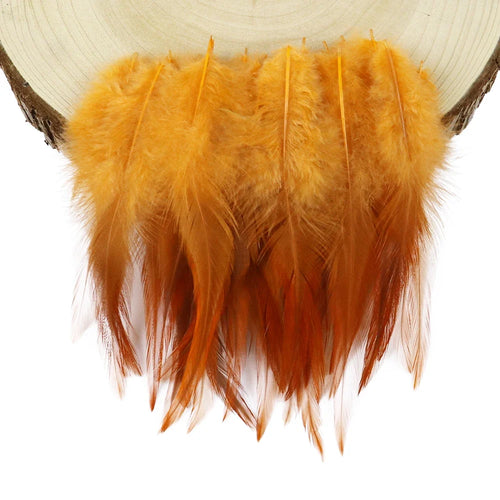 Natural Rooster Craft Feathers Bulk Pack