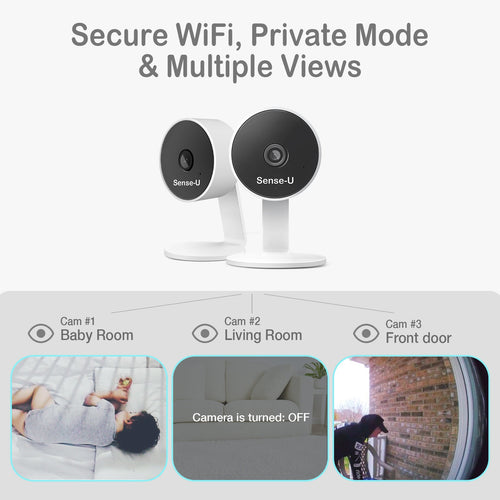 AI Indoor Cam