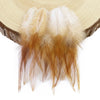 Natural Rooster Craft Feathers Bulk Pack
