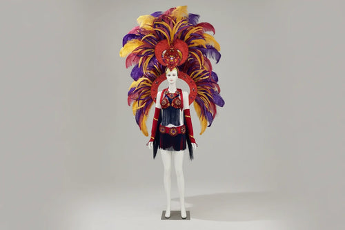 Regal Feathered Backpiece and Rhinestone Costume Set
