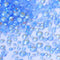 Shimmer LT Blue / Mix Size(SS6-SS20) / 1440Pcs