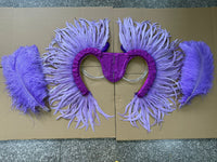 Two-Tone Feather Wing Backpiece Stage Costume Accessory