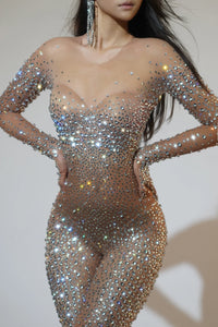 Full-Length Rhinestone Mesh Bodysuit