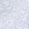 White / Mix Size(SS6-SS20) / 1440Pcs