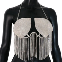 Dazzling Crystal Tassel Chest Chain & Dance Belly Bra Jewelry