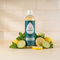 Citrus & Mint / Standard