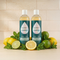 Citrus & Mint / Standard (Pack of 2)