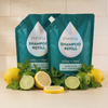 Shampoo (Sulfate/Paraben/Silicone-Free)