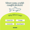 Silver Carp and Sweet Potato Arch Pet Food