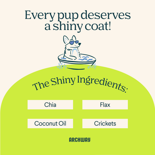 Skin & Coat Health Arch Pet Food