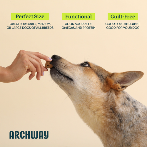 Skin & Coat Health Arch Pet Food