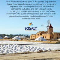 SoSalt Fine Sea Salt Shaker from Sicily | 12 Pack x 750g (26.5 oz) | Kosher, All Natural Sicilian Sea Salt