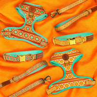 Southwest Spirit Leash