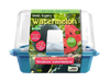 Small, Sugary Watermelon Sprouter Terrarium