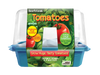 Beefsteak Tomatoes Sprouter Terrarium