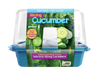 Slicing Cucumbers Sprouter Terrarium