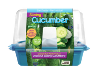 Slicing Cucumbers Sprouter Terrarium