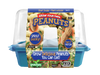 Grow Your Own Peanuts Sprouter Terrarium