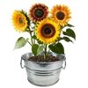 Flowering Tin Garden Variety Pack - 1 Each of 3 Varieties
