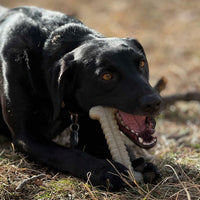 Tough Bone Nylon Chew Bone | Ultra-Durable Dog Toy for Aggressive Chewers | SodaPup