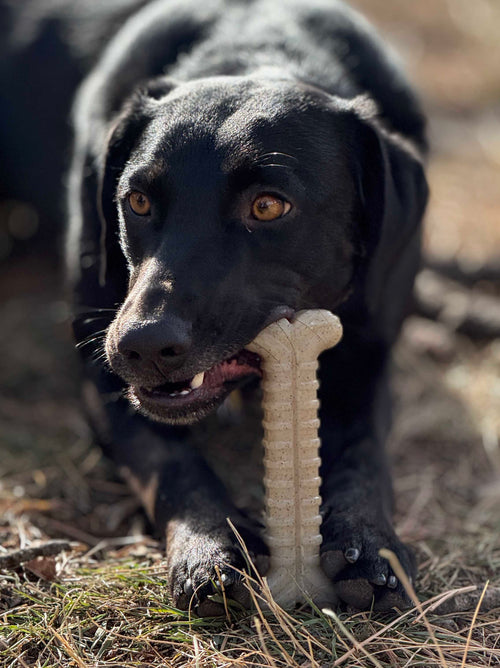Tough Bone Nylon Chew Bone | Ultra-Durable Dog Toy for Aggressive Chewers | SodaPup