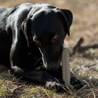 Tough Bone Nylon Chew Bone | Ultra-Durable Dog Toy for Aggressive Chewers | SodaPup