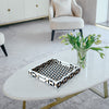 Discovery Cypher Decorative Tray 17x11 & 12x12  Black Ivory Ottoman