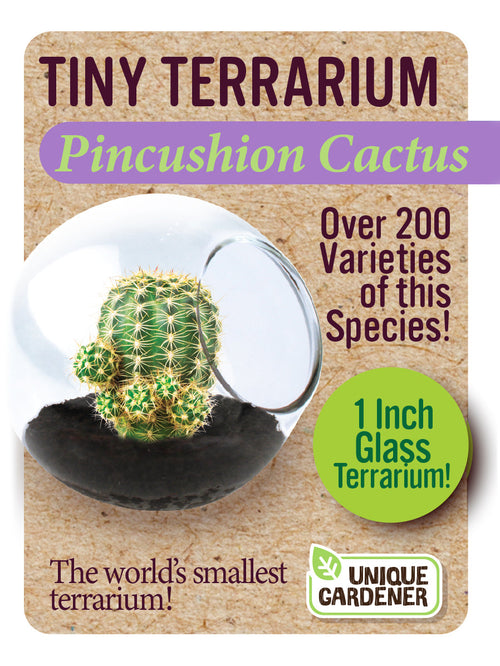 Cacti Tiny Terrariums Bundle - 1 each of 6 Varieties