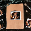Lion of Judah™ - Sticker